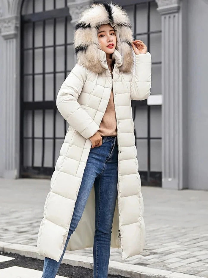 Womens Regular Fit Cold Weather Jacket with Long Sleeves in 6 Colors for Fall and Winter