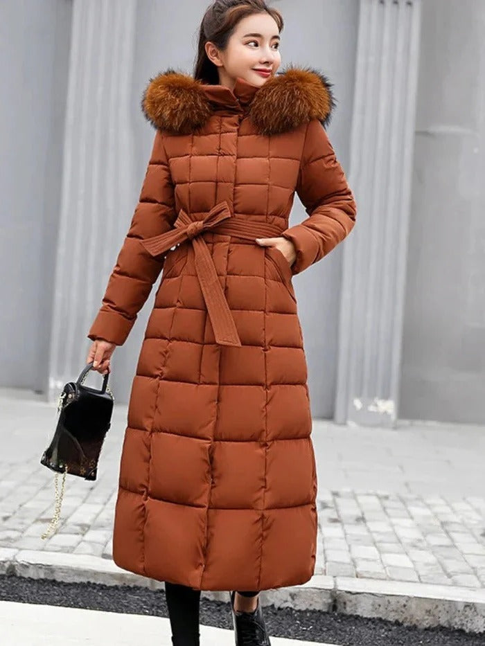 Womens Regular Fit Cold Weather Jacket with Long Sleeves in 6 Colors for Fall and Winter
