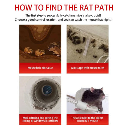 Reusable Sliding Door Rodent Cage with One Way Entry Design