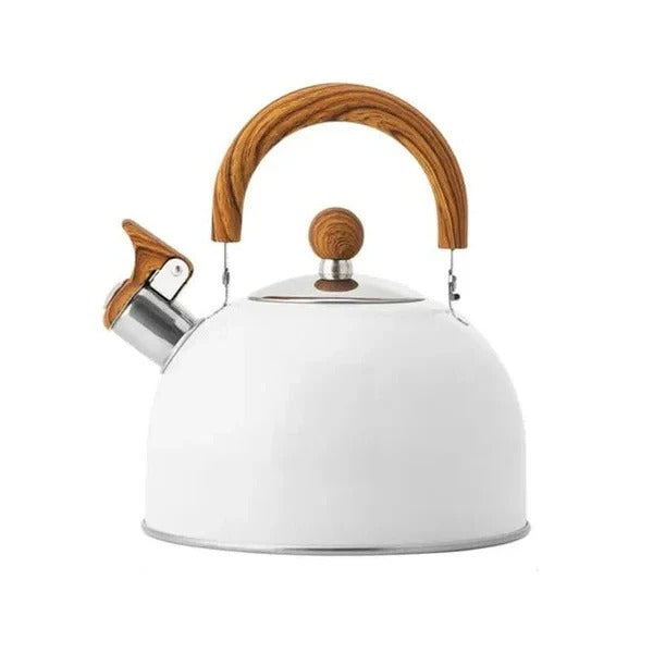 Stainless Steel Whistling Stovetop Kettle with Insulated Handle