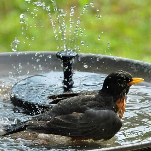 Floating Solar Water Fountain Pump for Pond