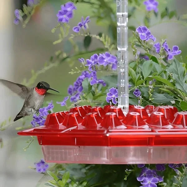 Hanging Hummingbird Feeder Ant Proof Design with Moat