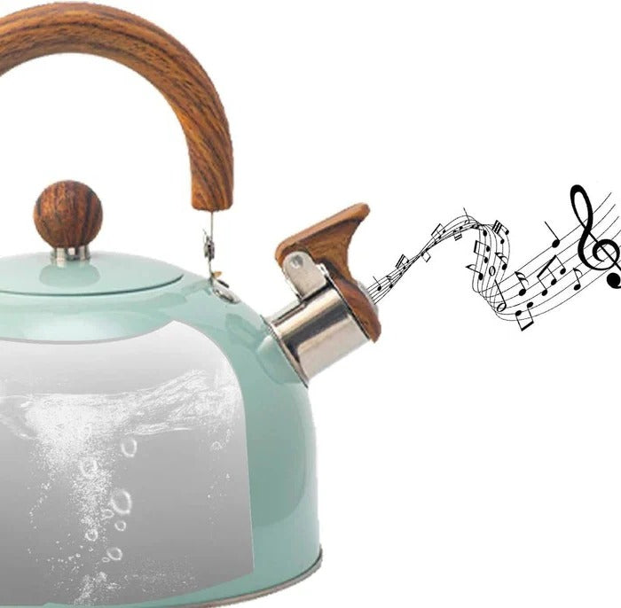 Stainless Steel Whistling Stovetop Kettle with Insulated Handle
