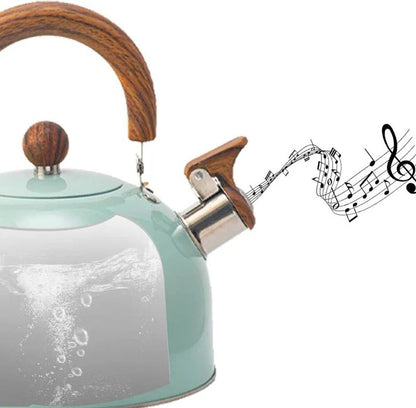 Stainless Steel Whistling Stovetop Kettle with Insulated Handle