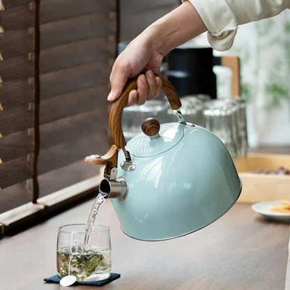Stainless Steel Whistling Stovetop Kettle with Insulated Handle
