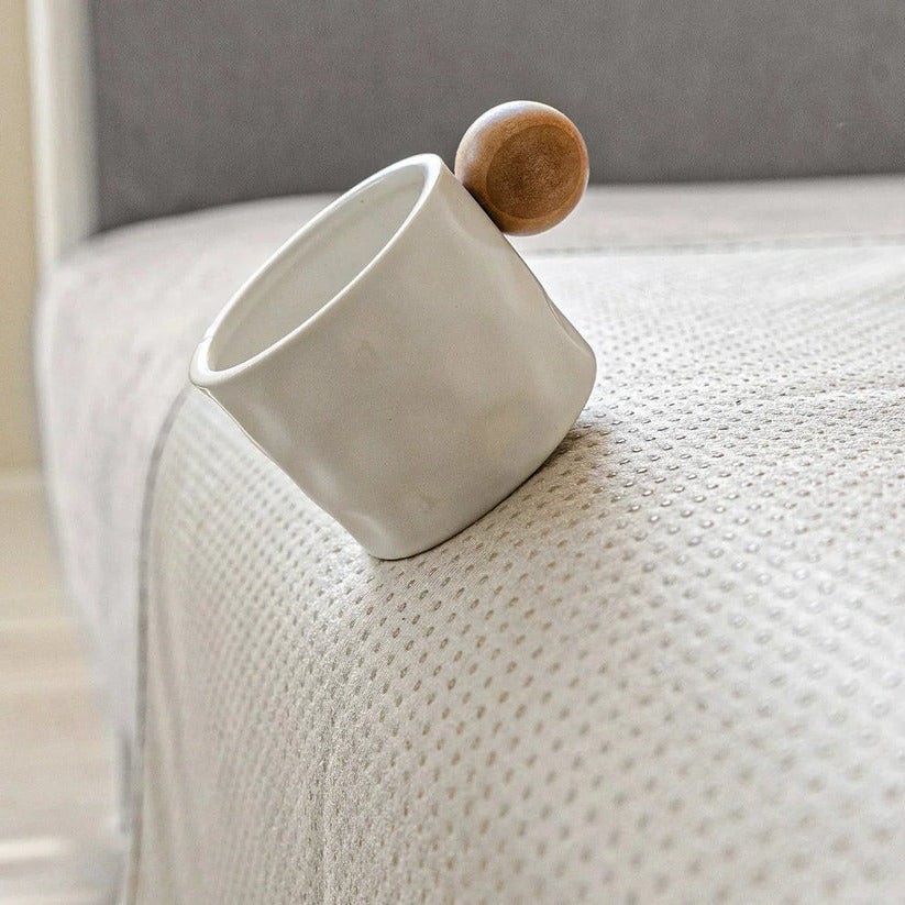 Pet Sofa Cover with Washable Recyclable Fabric Design