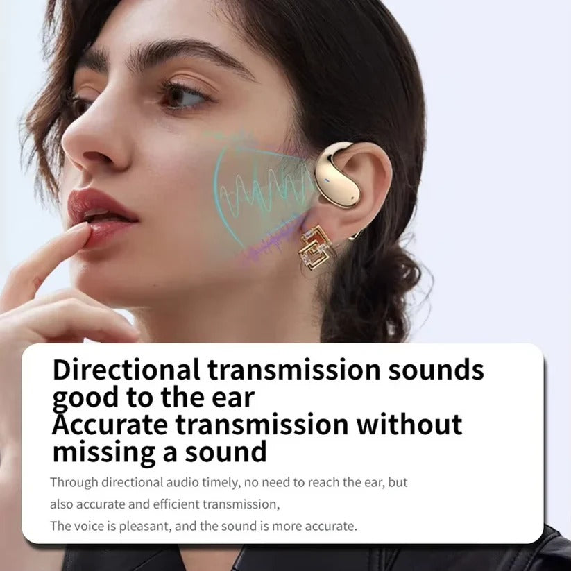 Wireless Translation Earbuds with HiFi Audio and 144 Language