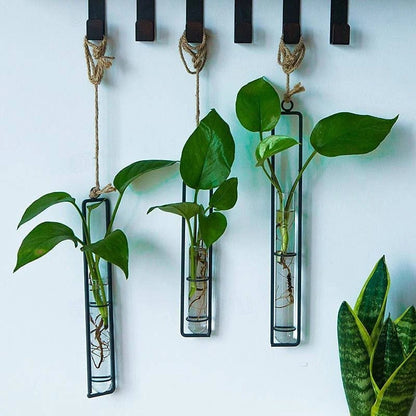Hanging Glass Tube Wall Planter Set with Metal Frame for Indoor Plant Cuttings