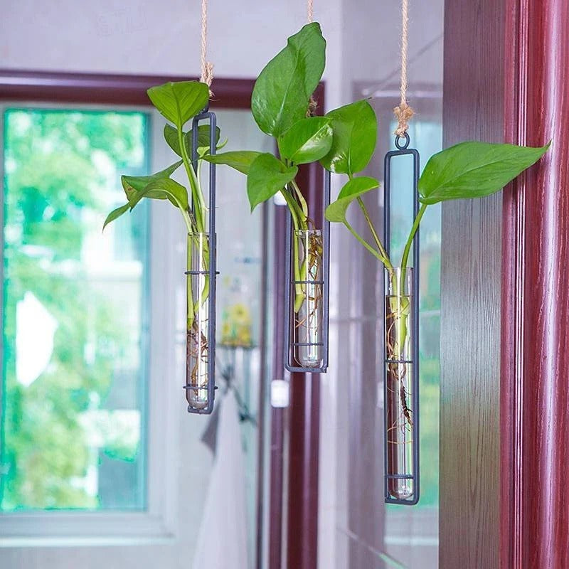 Hanging Glass Tube Wall Planter Set with Metal Frame for Indoor Plant Cuttings