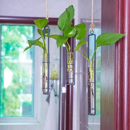Hanging Glass Tube Wall Planter Set with Metal Frame for Indoor Plant Cuttings