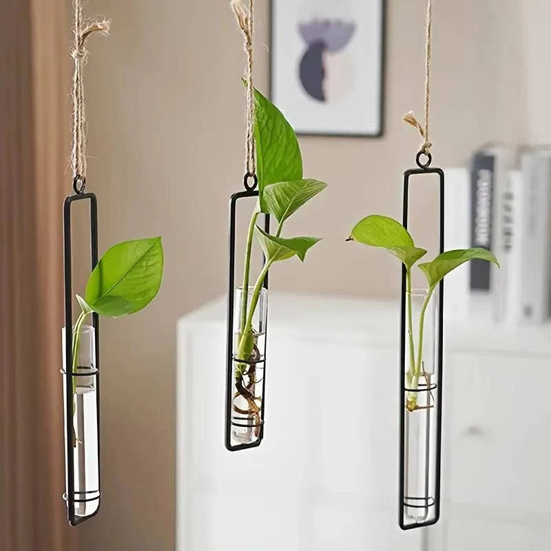 Hanging Glass Tube Wall Planter Set with Metal Frame for Indoor Plant Cuttings