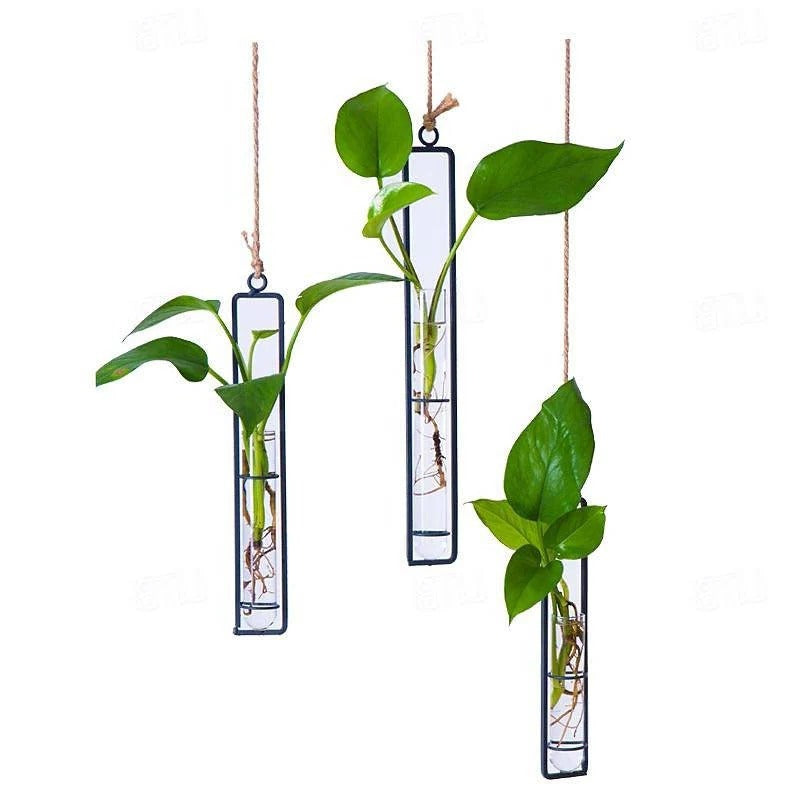 Hanging Glass Tube Wall Planter Set with Metal Frame for Indoor Plant Cuttings