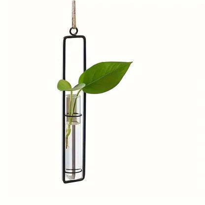 Hanging Glass Tube Wall Planter Set with Metal Frame for Indoor Plant Cuttings