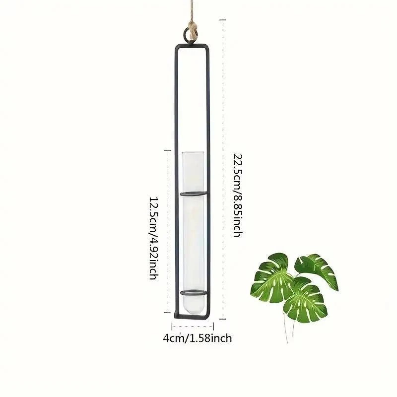 Hanging Glass Tube Wall Planter Set with Metal Frame for Indoor Plant Cuttings