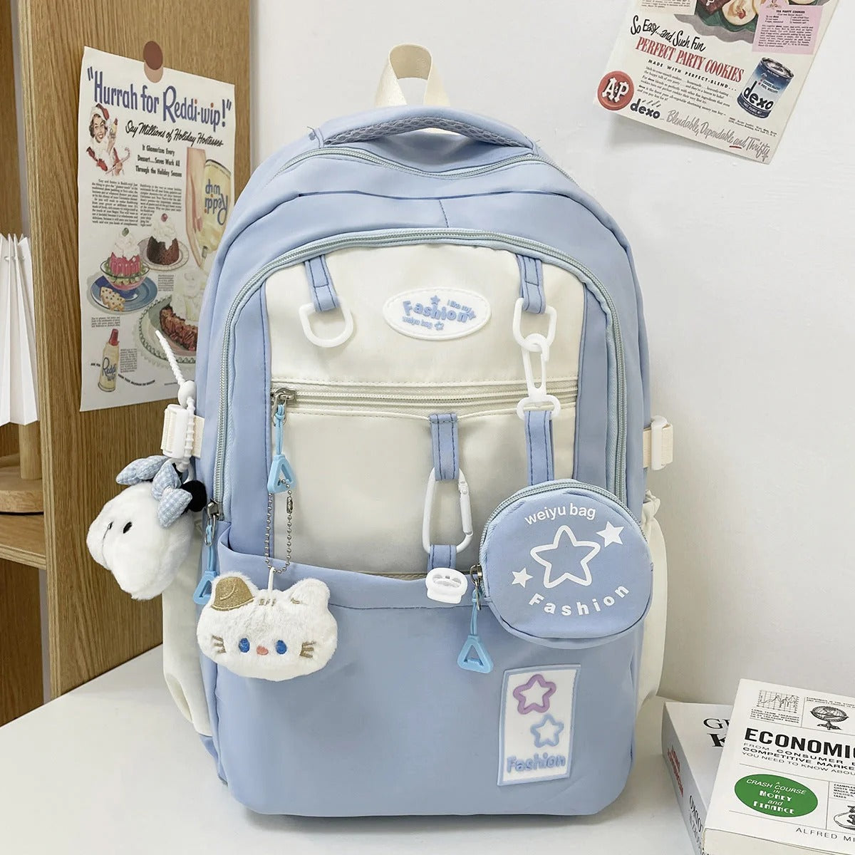 Padded Voyager Backpack Featuring Several Storage Sections