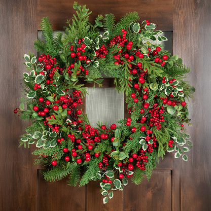 Cedar Eucalyptus and Pine Holiday Wreath with Grapevine Back 30 Inch