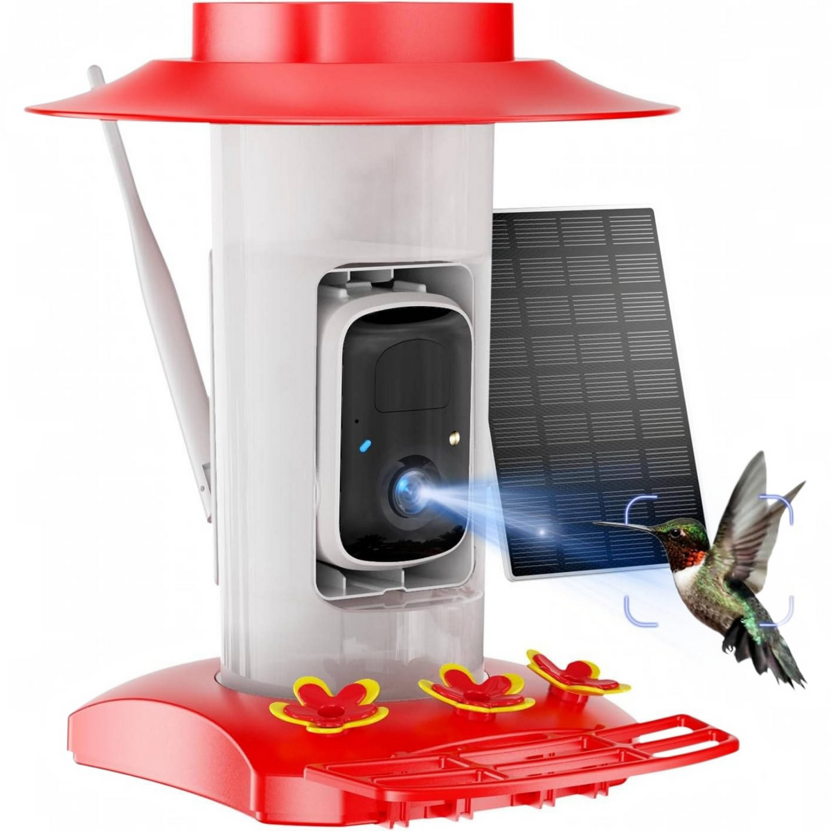 Solar Powered Hummingbird Feeder Camera with 2K Video and Wi Fi App Alerts