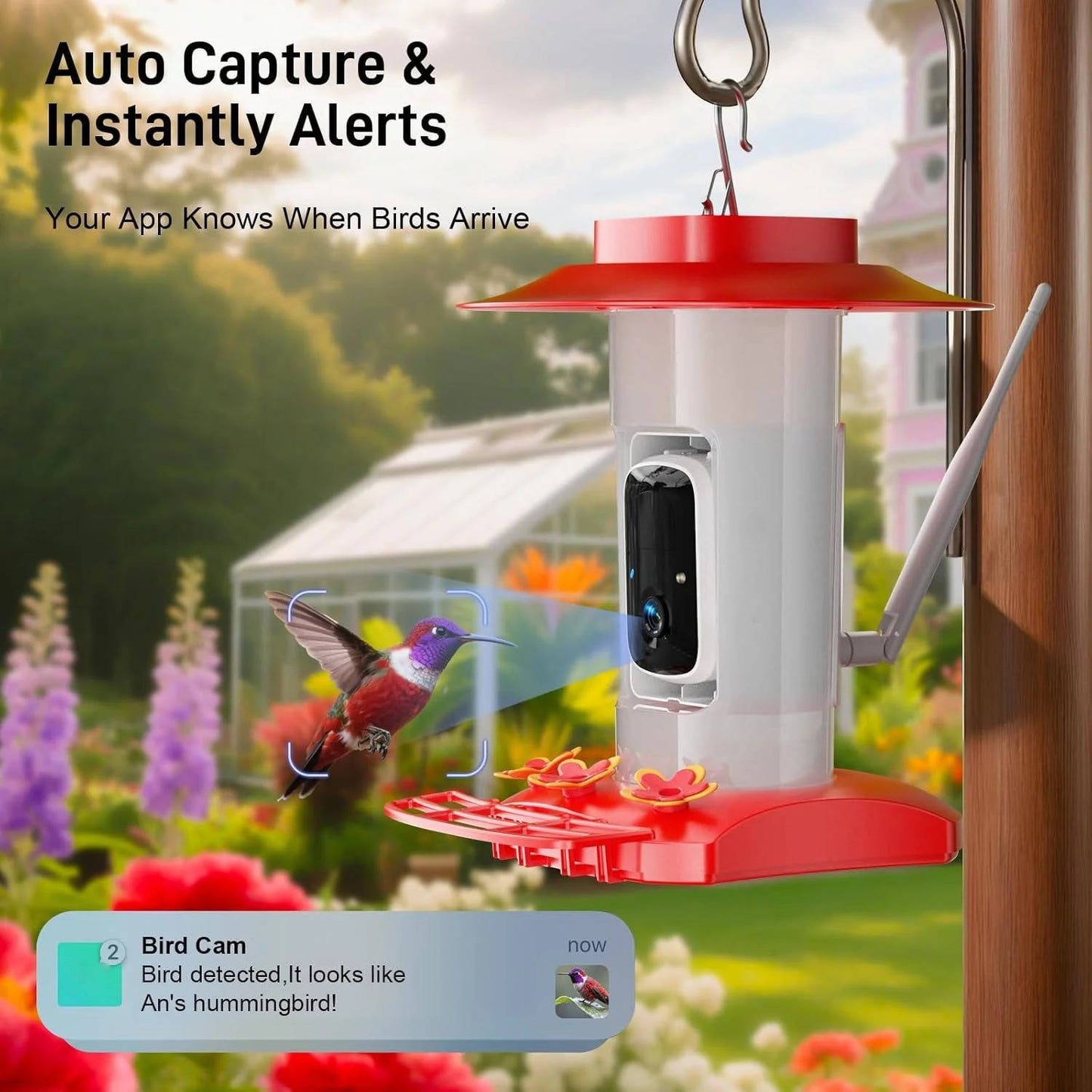 Solar Powered Hummingbird Feeder Camera with 2K Video and Wi Fi App Alerts