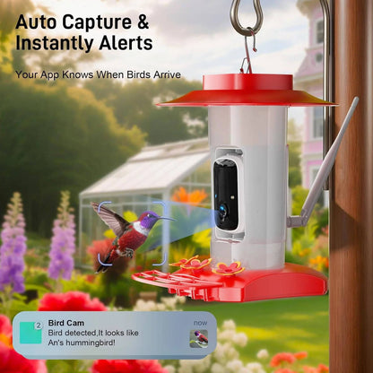 Solar Powered Hummingbird Feeder Camera with 2K Video and Wi Fi App Alerts