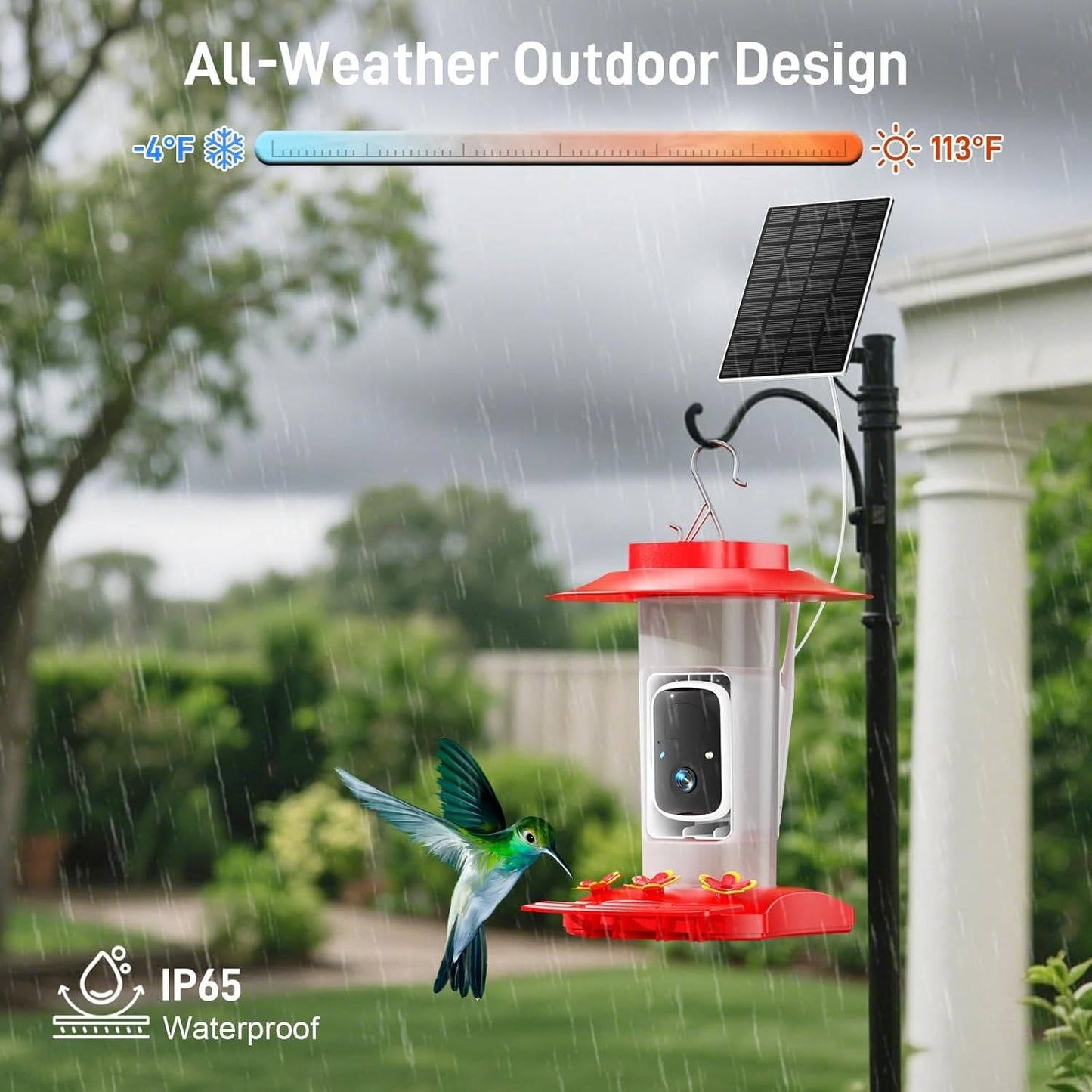 Solar Powered Hummingbird Feeder Camera with 2K Video and Wi Fi App Alerts
