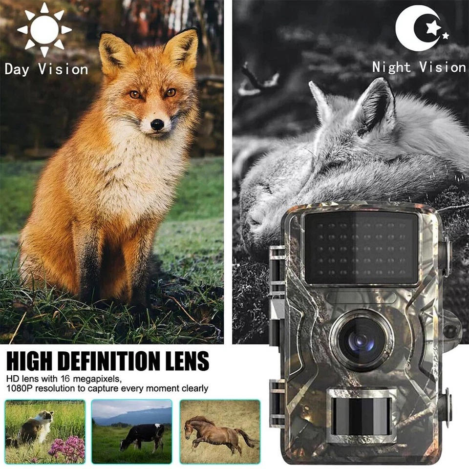 Trail Camera with 16MP Photo and 1080P Video, Infrared Night Vision