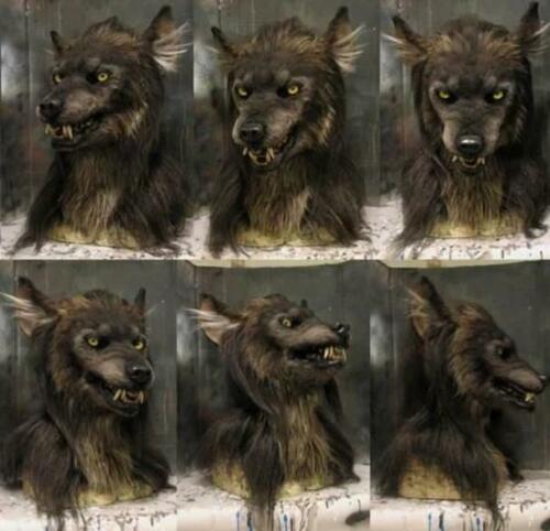 Scary Wolf Full Head Latex Costume Mask for Halloween