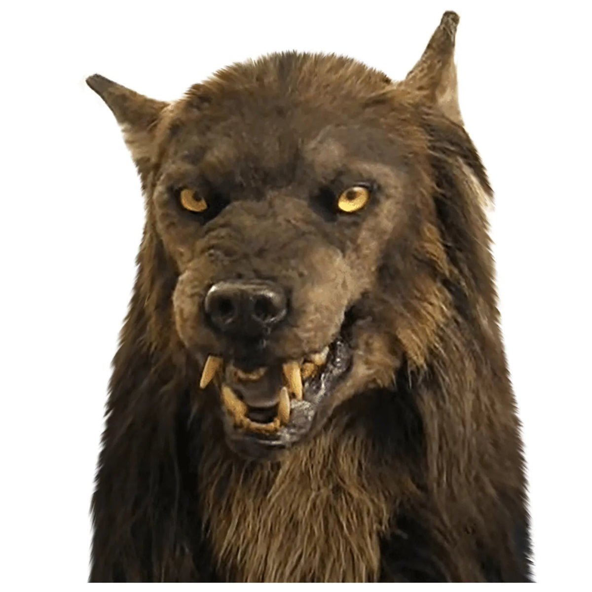 Scary Wolf Full Head Latex Costume Mask for Halloween